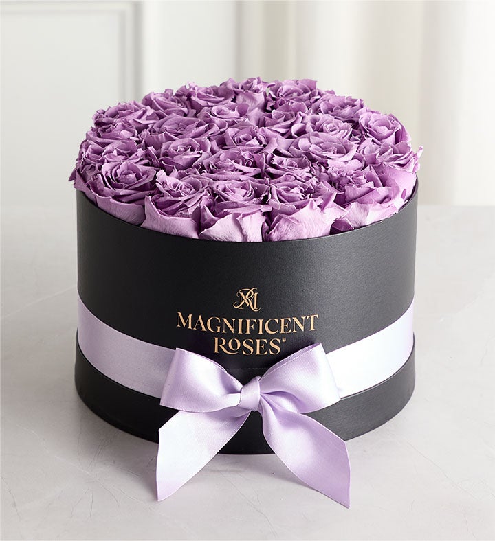 1-800-Flowers Flower Delivery Magnificent Preserved Lavender Roses Premier Lavender