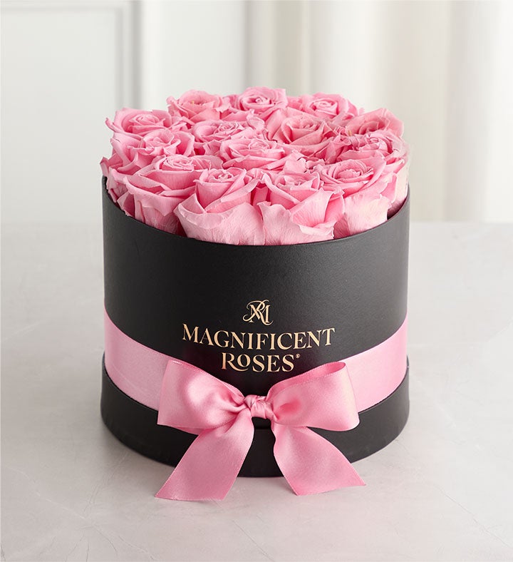 1-800-Flowers Flower Delivery Magnificent Preserved Roses Classic Pink