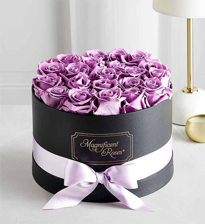 Magnificent Roses® Preserved Lavender Roses | 1800flowers.com