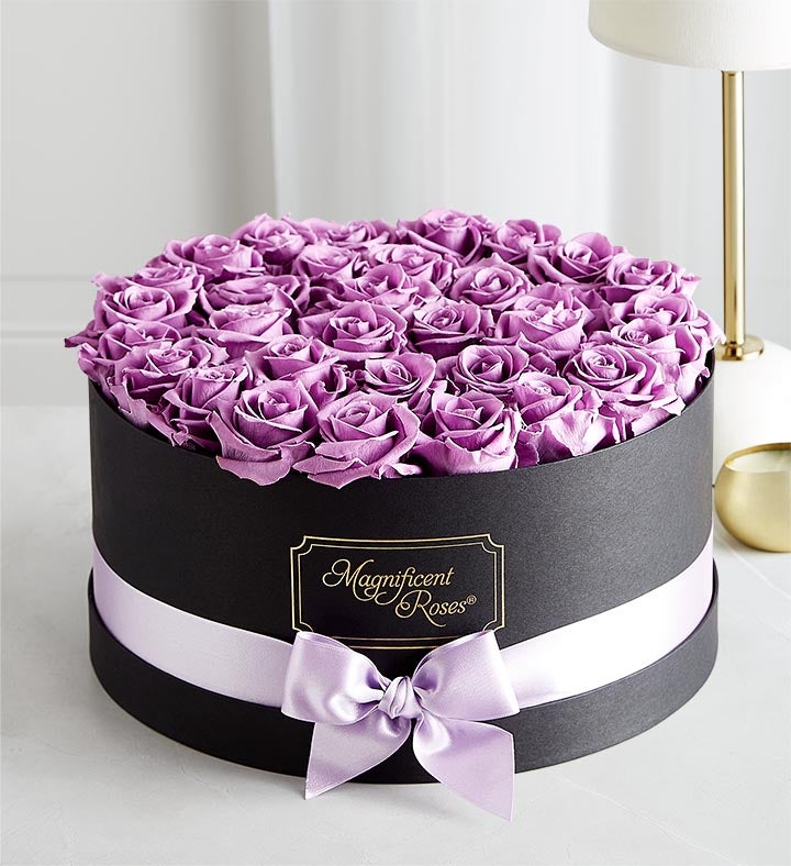 Magnificent Roses® Preserved Lavender Roses