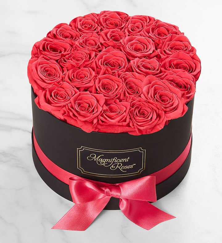 Magnificent Roses® Preserved  Hot Pink Roses