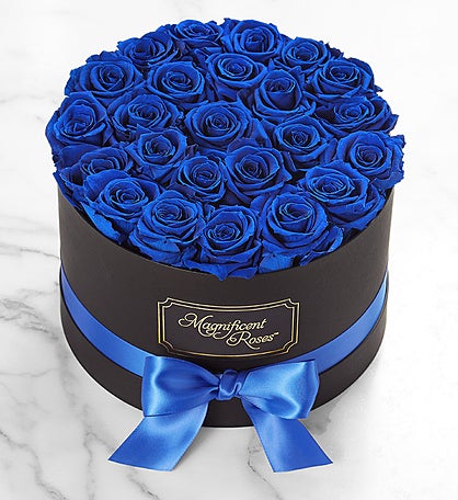 Magnificent Roses Preserved  Blue Velvet Roses Two Dozen