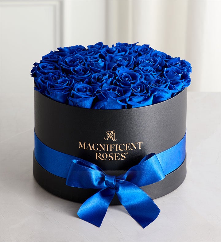 Magnificent Roses® Preserved  Blue Velvet Roses