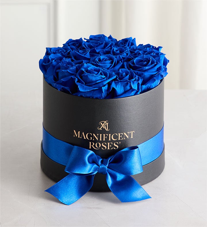 1-800-Flowers Flower Delivery Magnificent Preserved Blue Velvet Roses Classic Blue Velvet