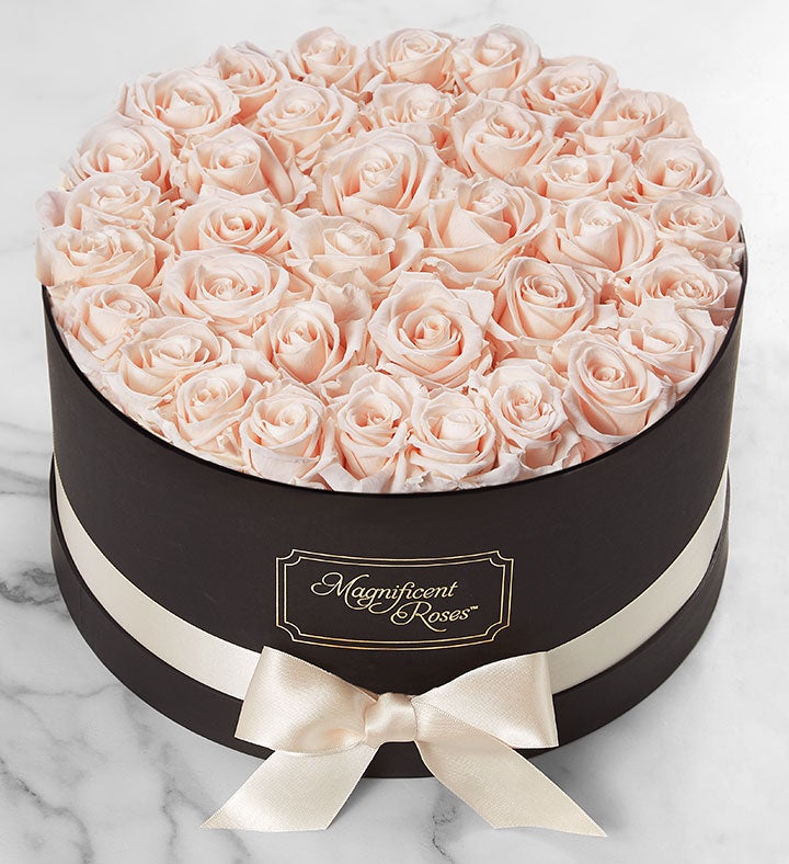 Magnificent Roses® Preserved  Blush Roses