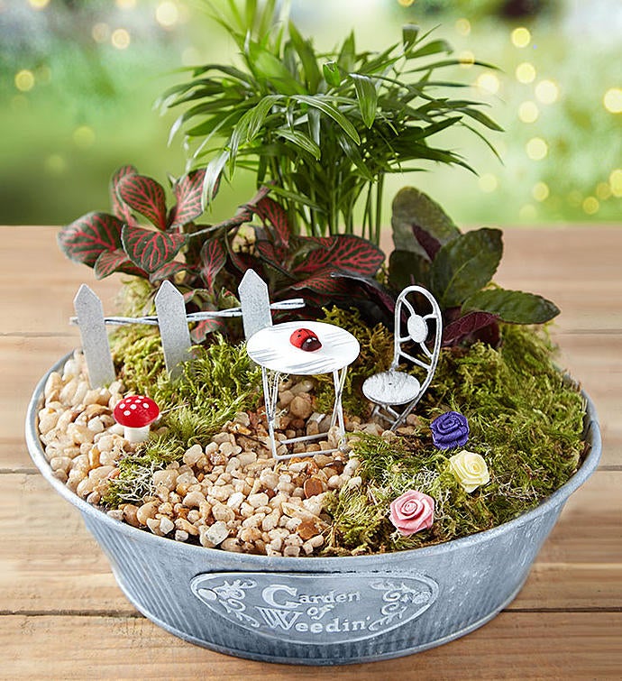 Enchanted Miniature Garden