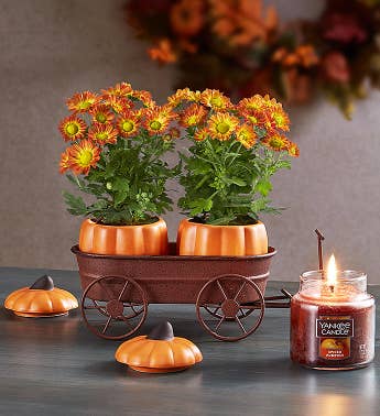 Festive Fall Pumpkin Hayride