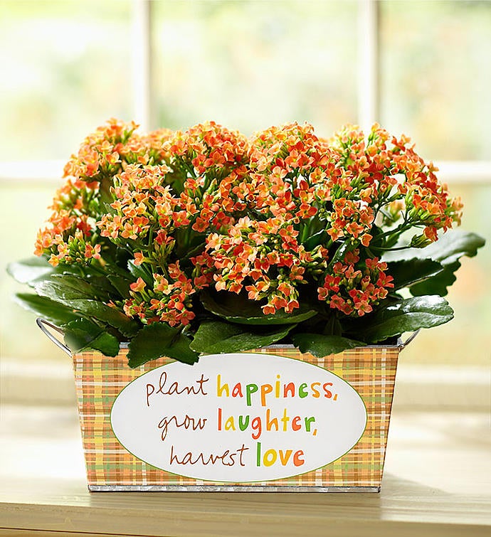 Sandra Magsamen® Autumn Harvest Blooms