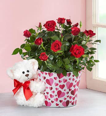 Love You Lots Bundle