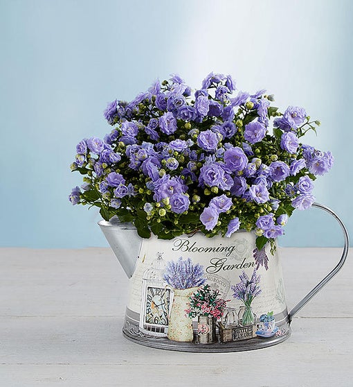 Springs Blooming Watering Can