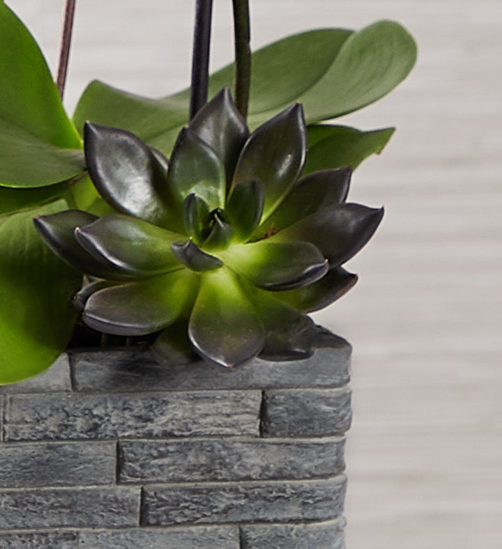 157179n_hardgood_alt