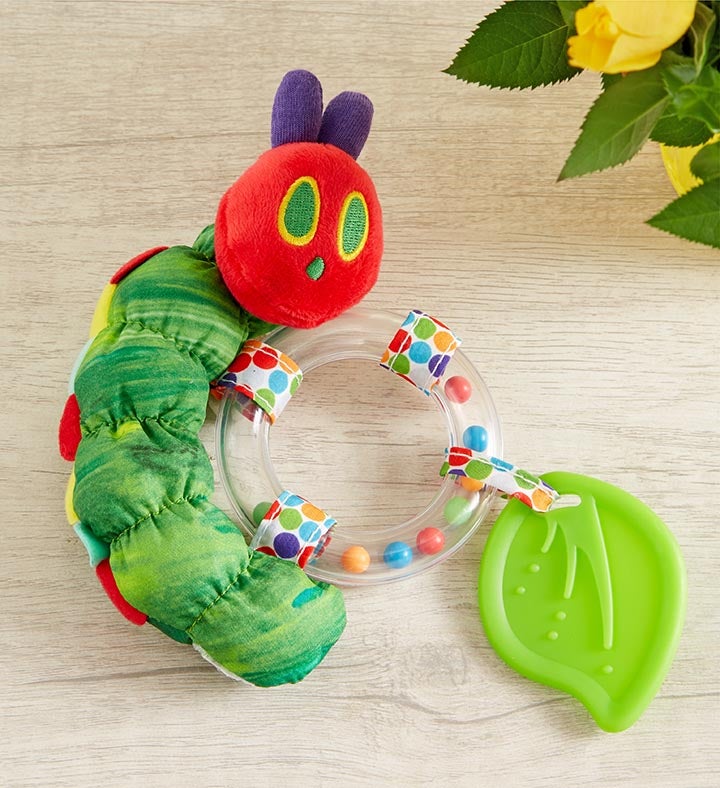 Hungry Caterpillar Rose Plant