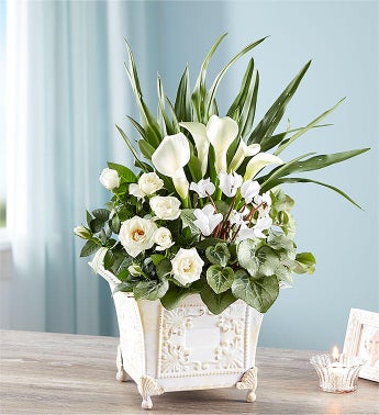 Sympathy Blooming Garden