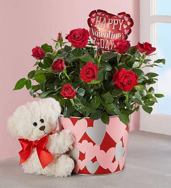 Send Roses: Rose Delivery & Rose Bouquets | 1800flowers.com