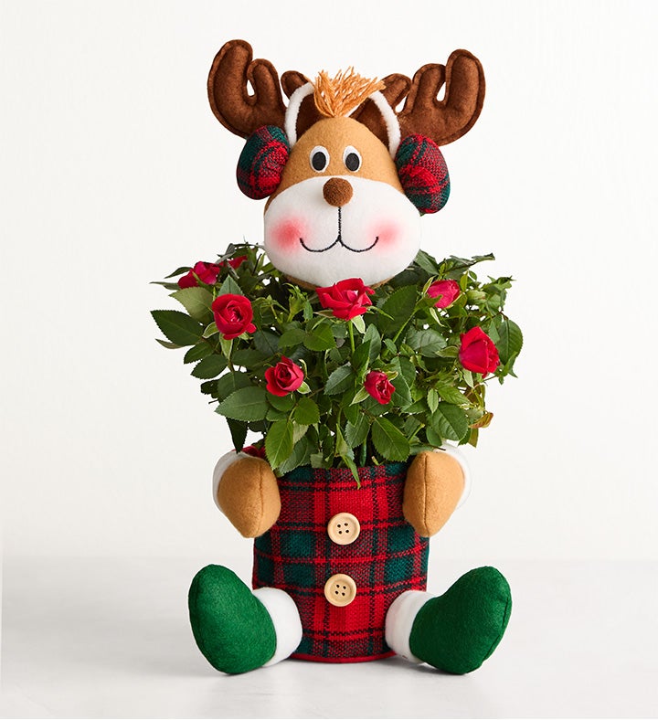 Red Rose Reindeer
