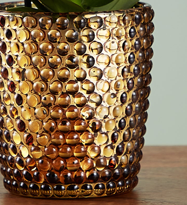 157959s2promo_hardgood