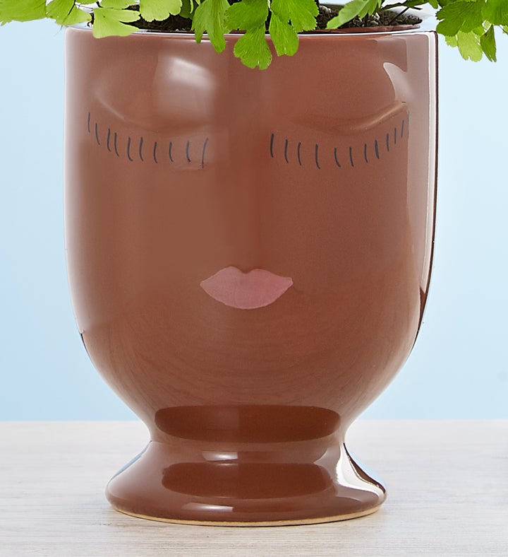 Maiden Hair ‘Fern’