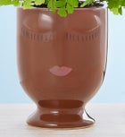 Maiden Hair ‘Fern’