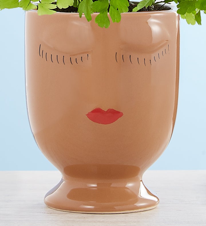 Maiden Hair ‘Fern’