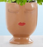 Maiden Hair ‘Fern’