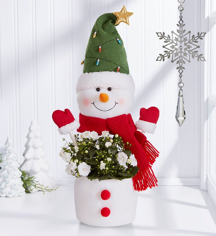 Festive Frosty The Snow Plant™