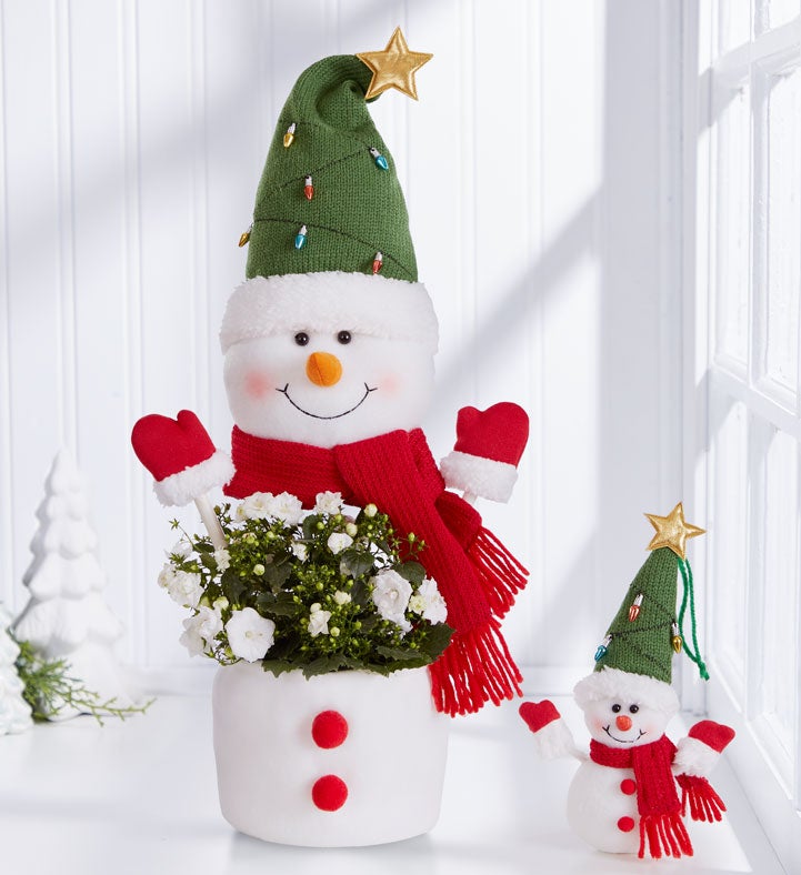 Festive Frosty The Snow Plant™