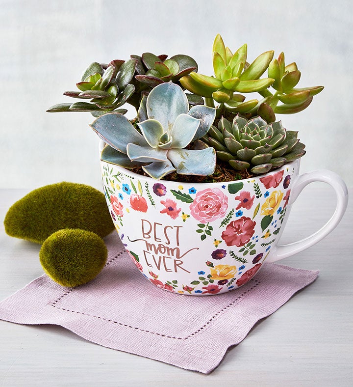 Succulent in Corkcicle® Mug