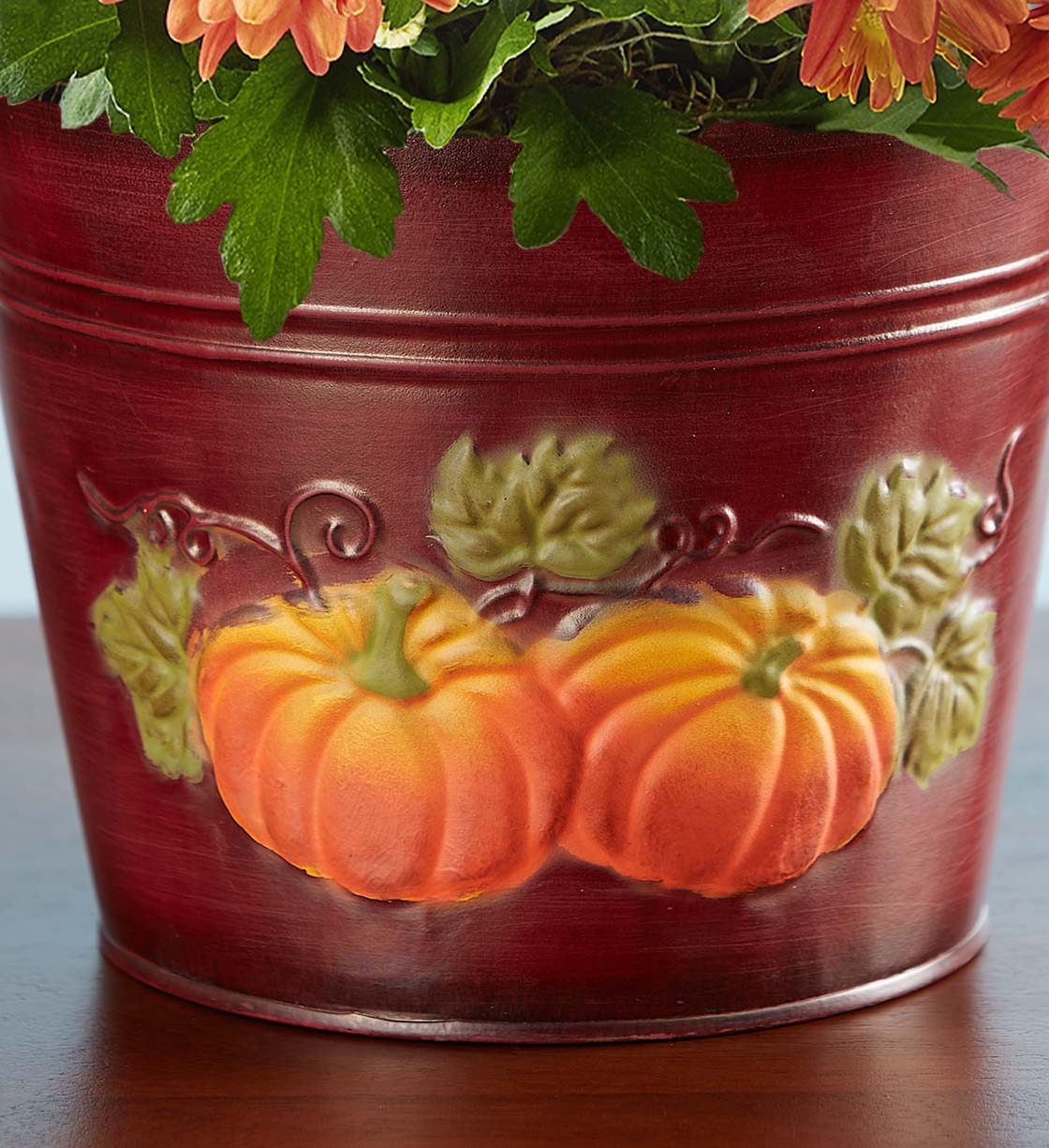 Autumn Harvest Orange Mum