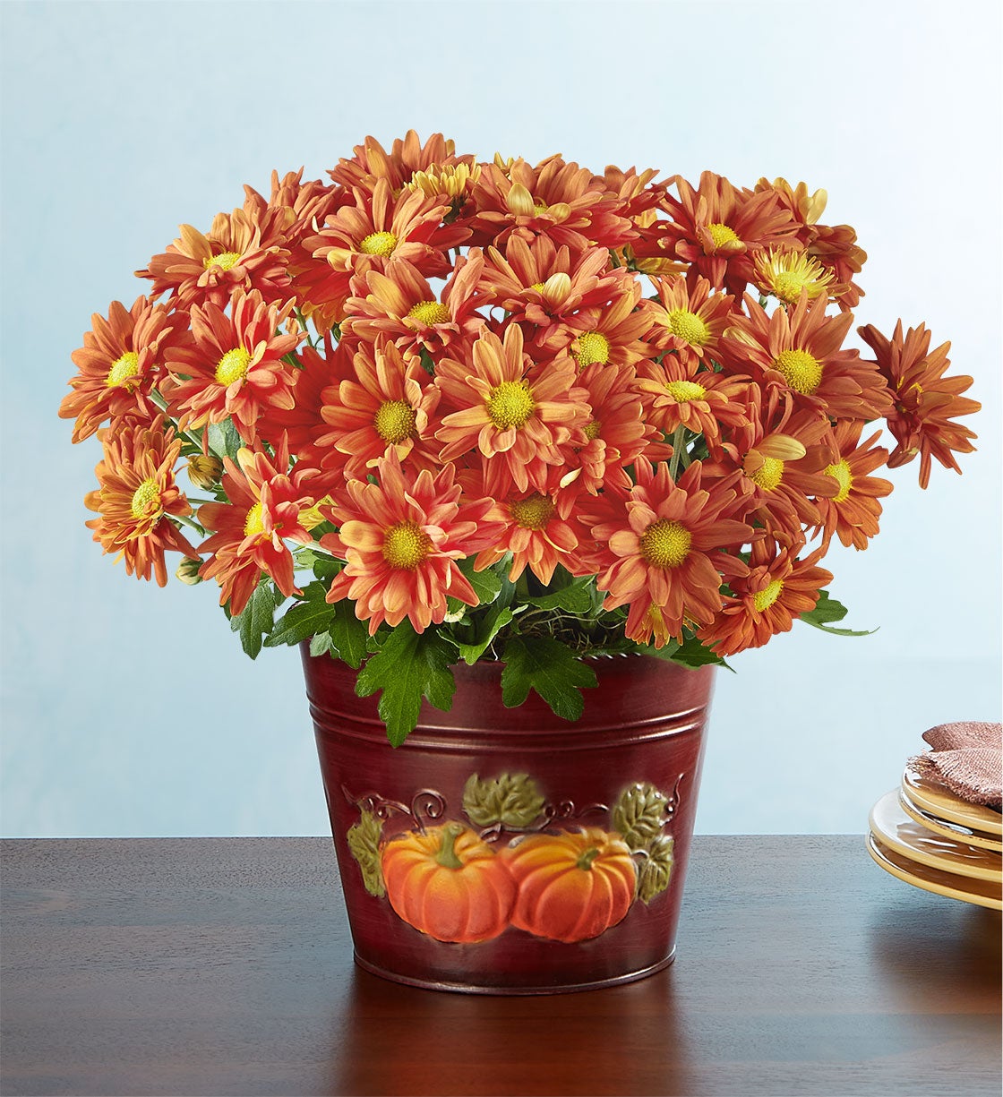 Autumn Harvest Orange Mum