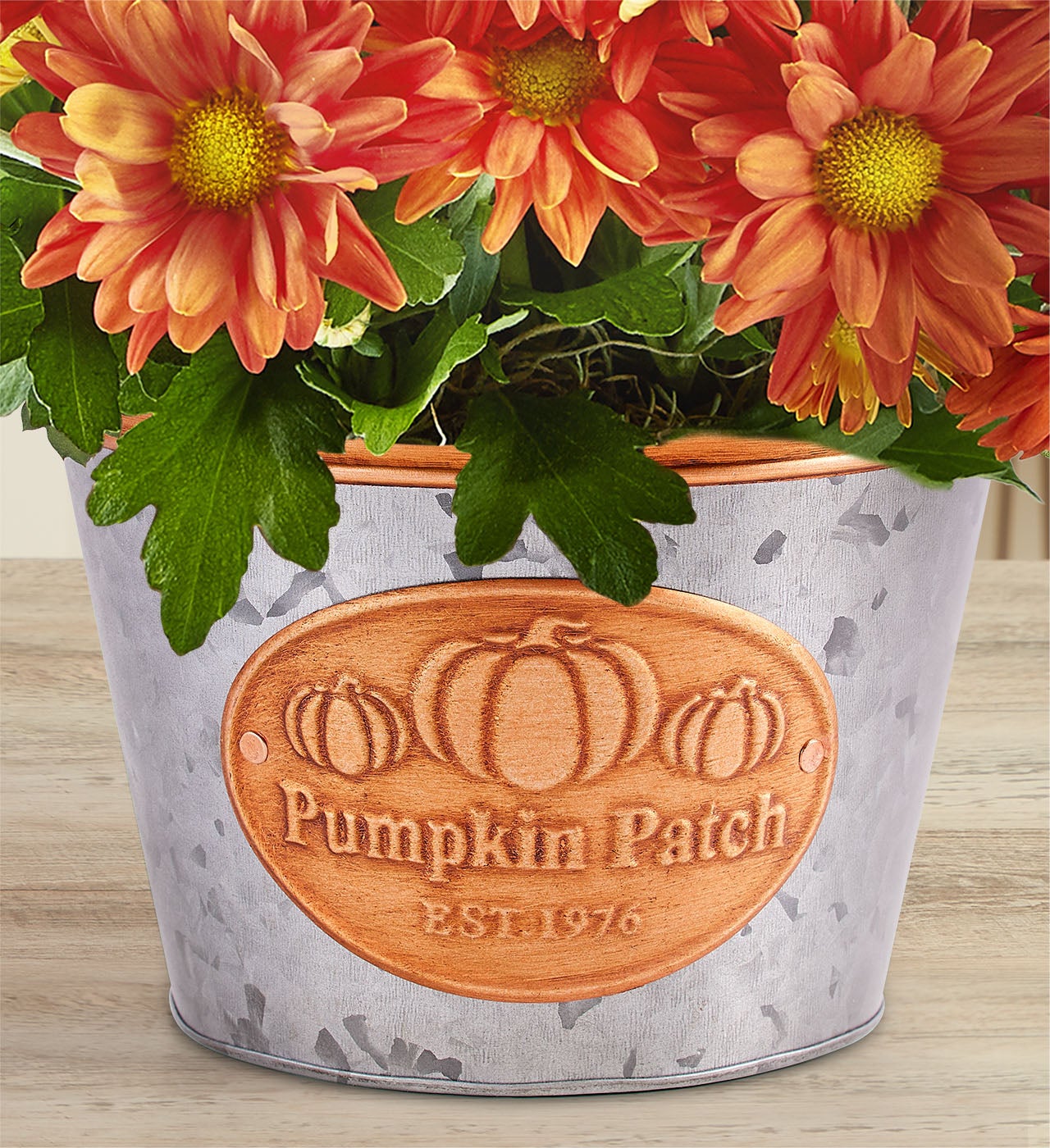 Pumpkin Patch Mum