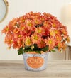 Pumpkin Patch Mum