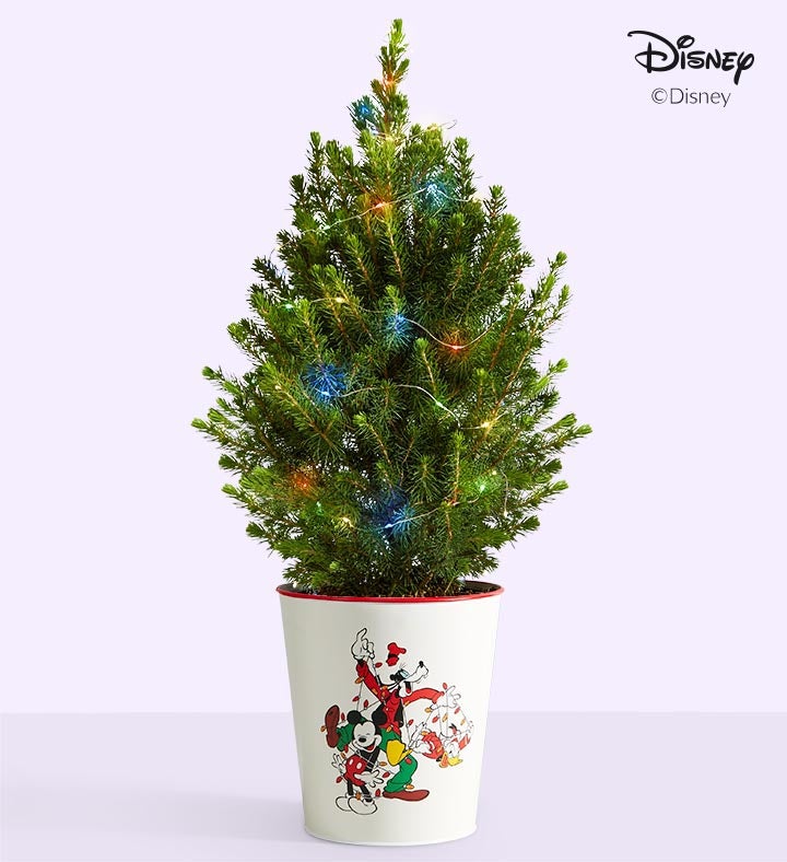 Disney Mickey Mouse & Friends Holiday Spruce