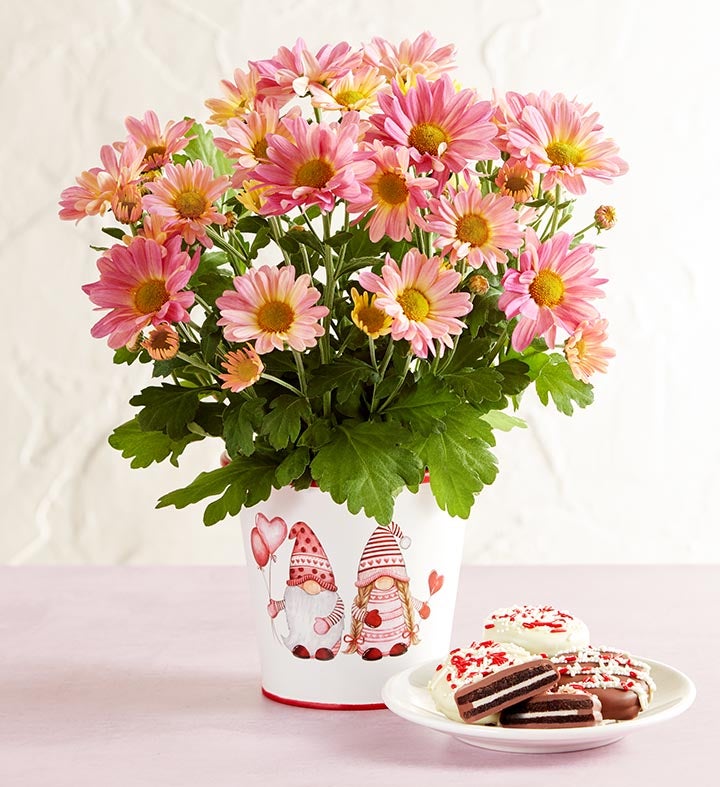 Love Like Gnome Other Pink Mum