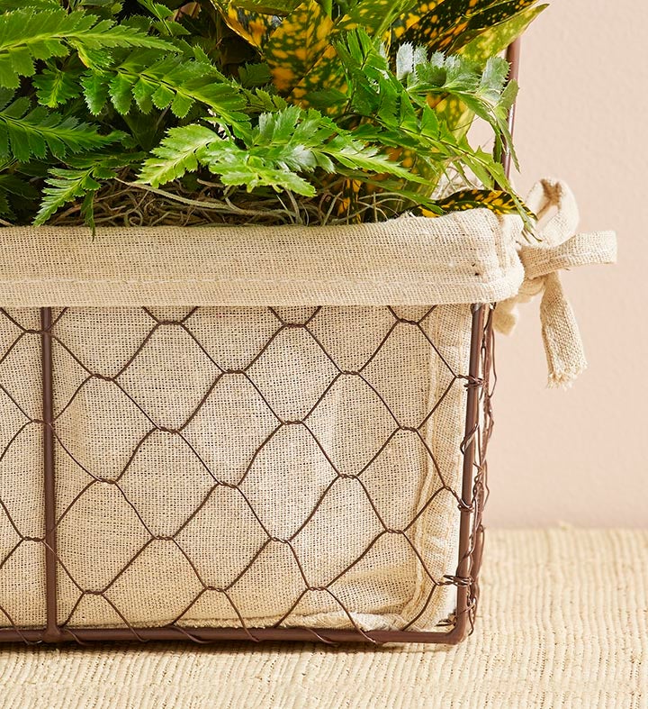 Green Dish Garden Basket