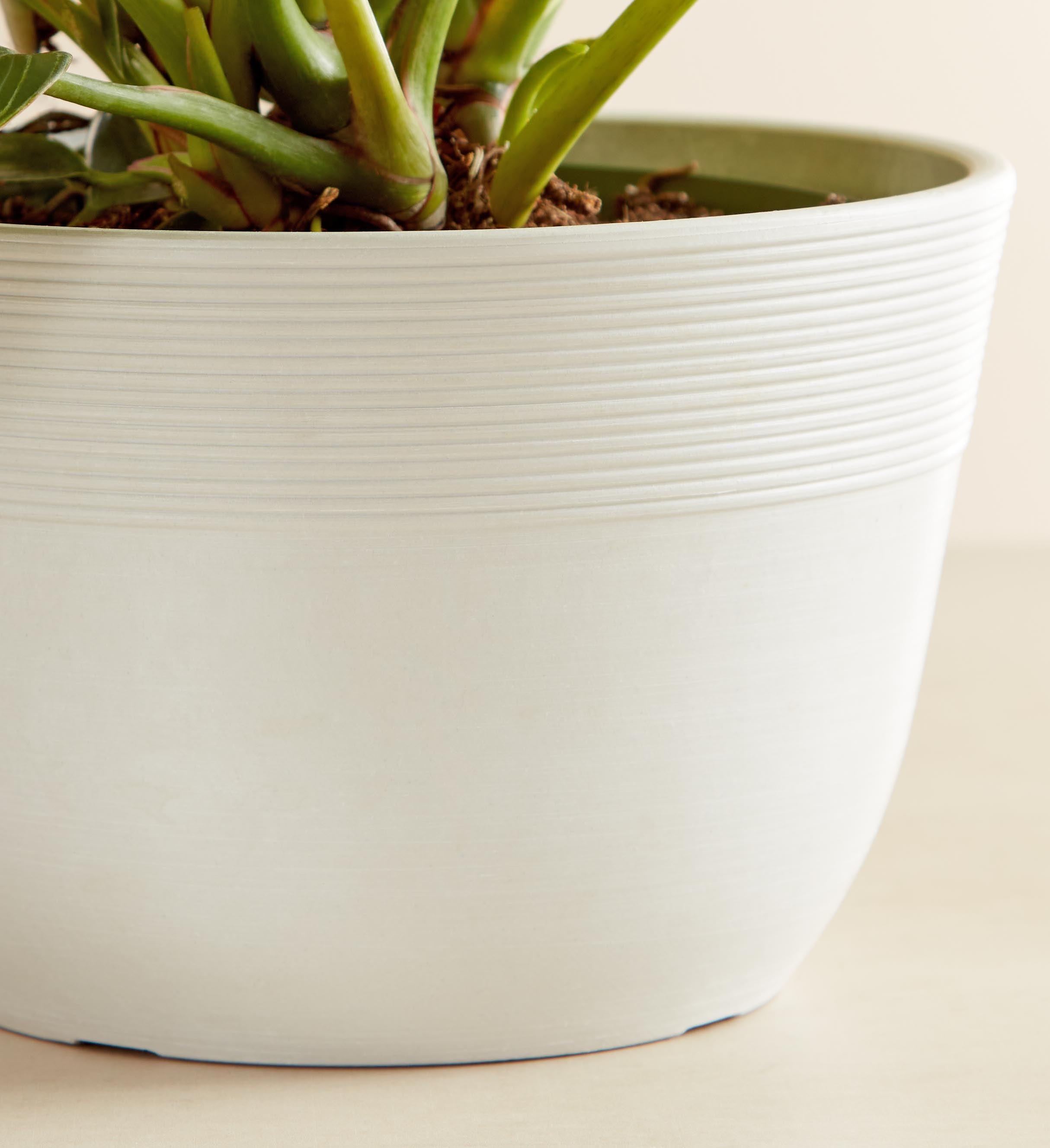 B16625　HERMES　果実蝶花鉢《真作保証》 TAKE OFF テイクオフ ナンバープレート移動キット カプチーノ EA11R EA21R