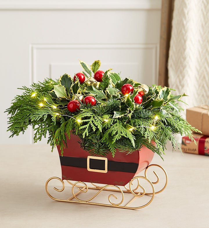 Classic Christmas Evergreens Sleigh