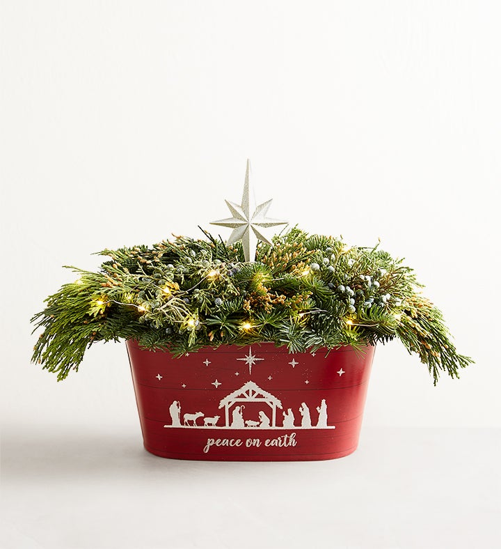 Peace On Earth Evergreens