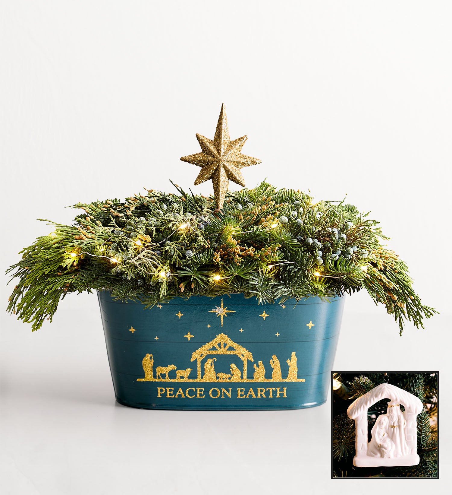 Peace On Earth Frsh Evergreens Lights