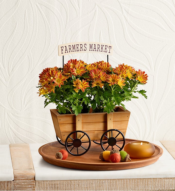 Farmers Market Mum