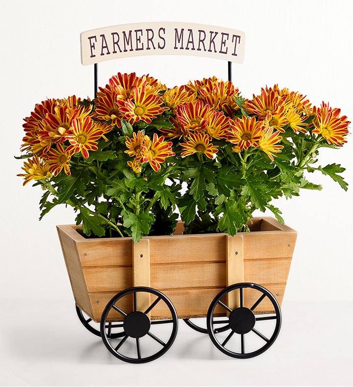 Farmers Market Mum