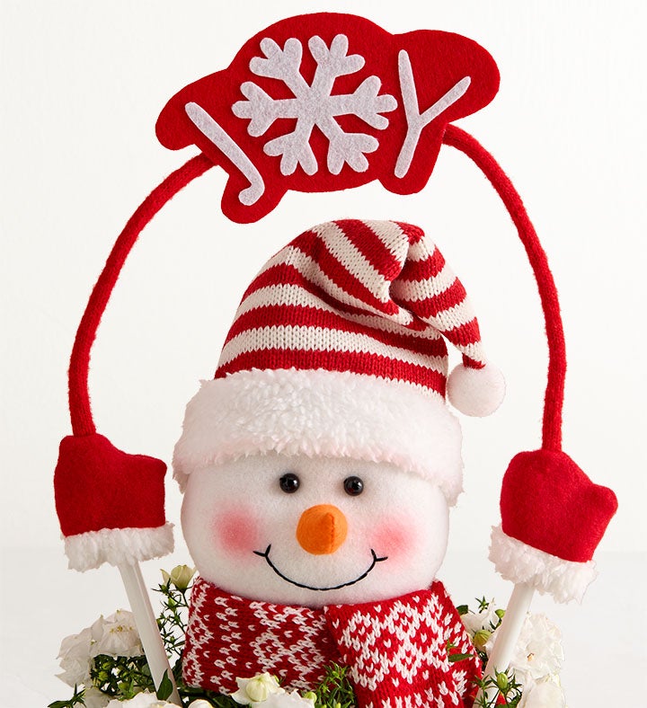 Frosty the Snow Plant