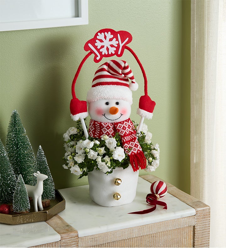 Frosty the Snow Plant