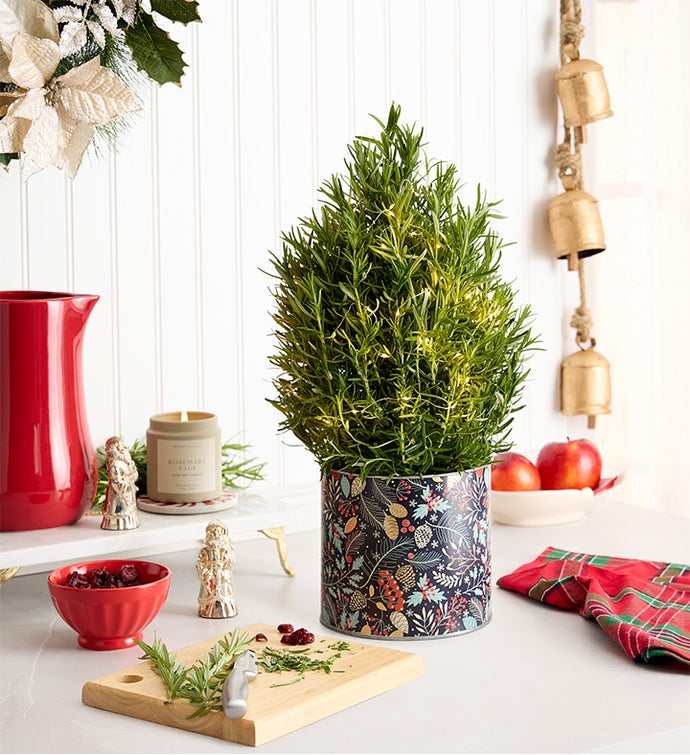 Rosemary & Bright Tree
