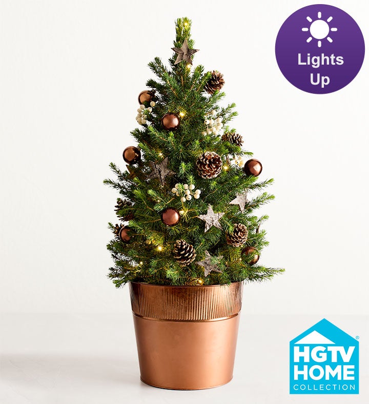 Christmas Traditions Decorated Spruce Tree
