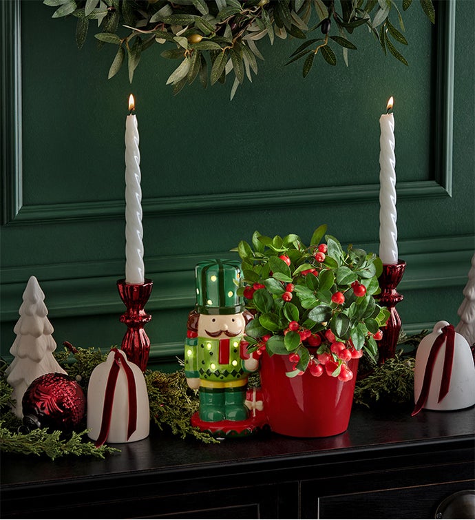 Holiday Nutcracker Winterberry