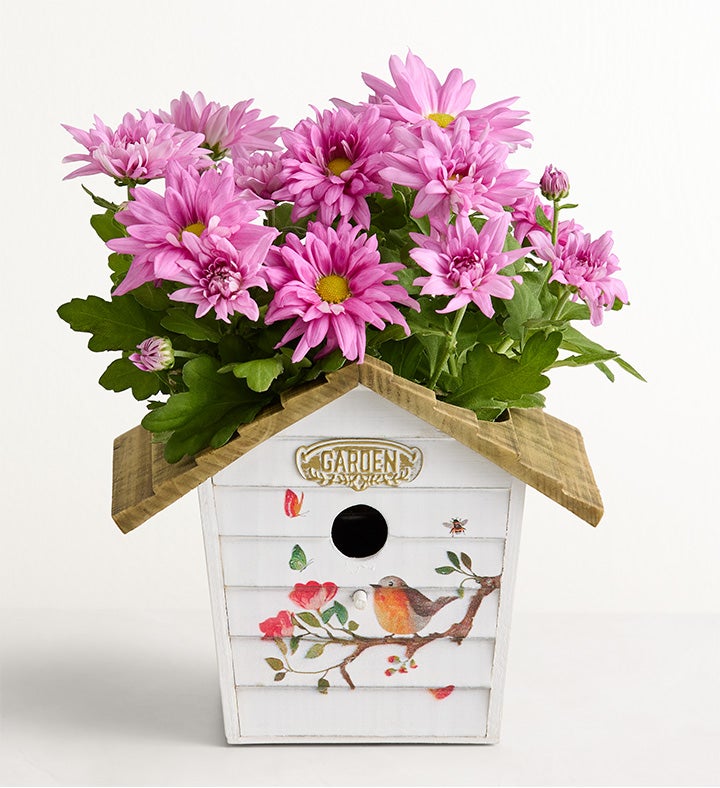 1-800-Flowers Gifts Delivery Birdhouse Of Blooms