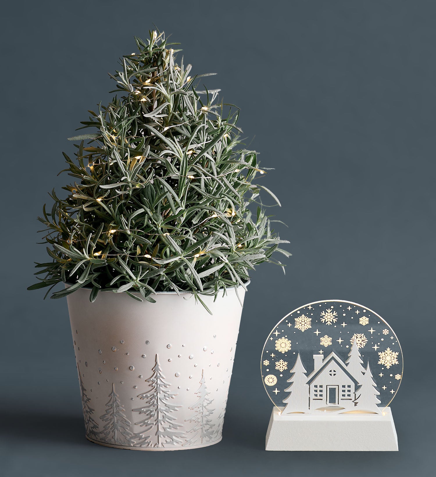 Fragrant Holiday Lavender Tree