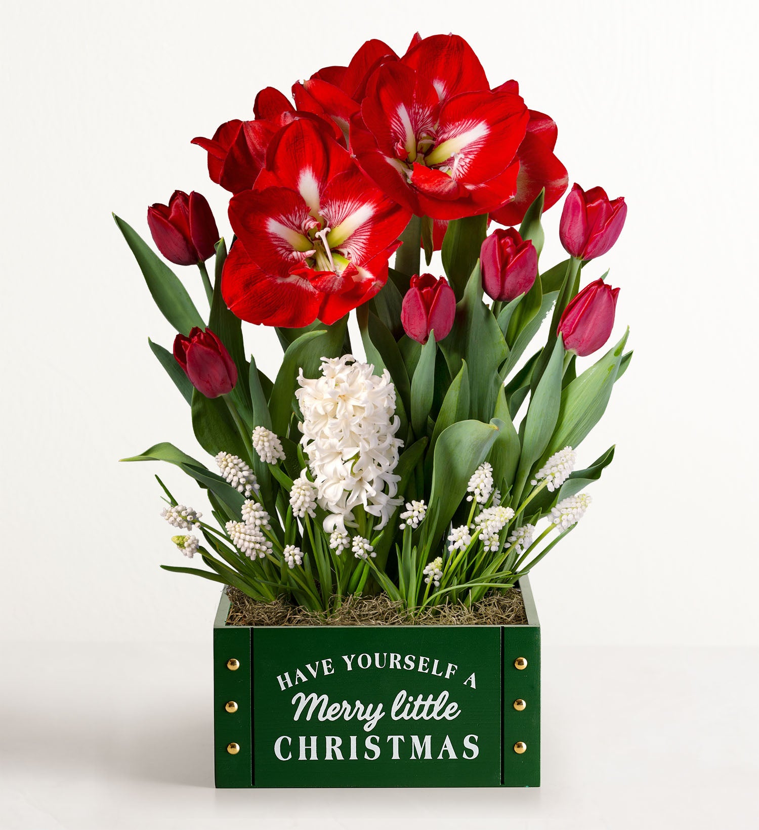 Merry Little Christmas Bulb Garden