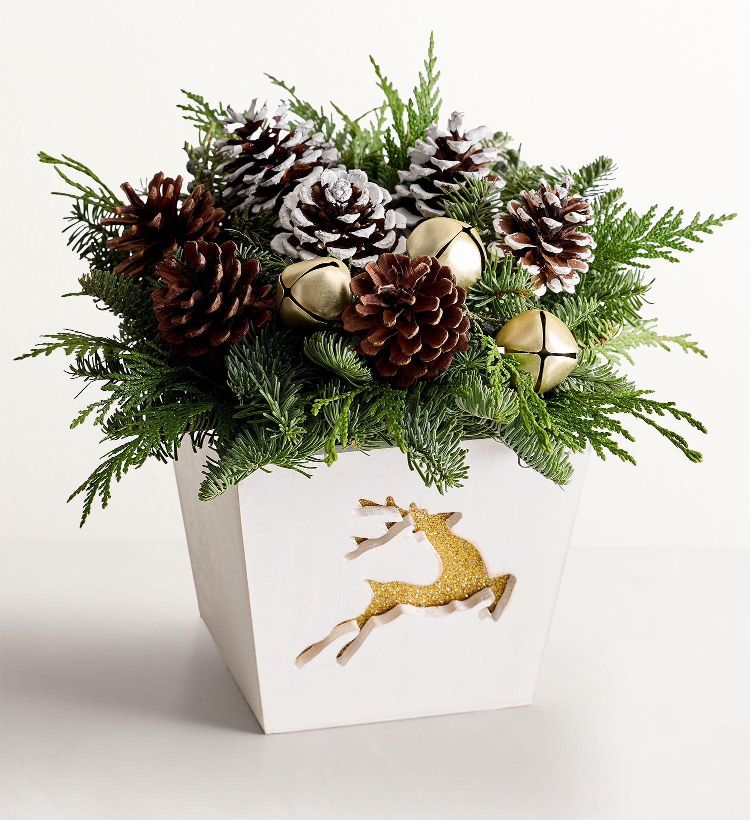 Reindeer Cheer Evergreens