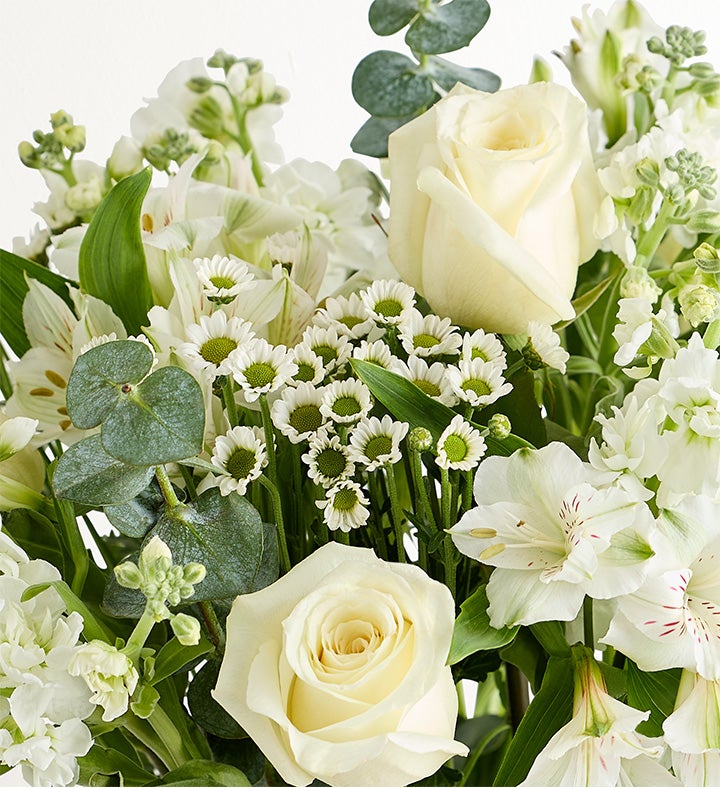Beautiful Blooms Sympathy Bouquet | 1800Flowers